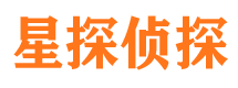 宜秀市调查公司